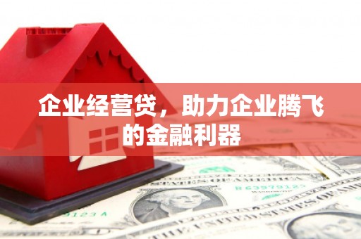 田尾企业经营贷，助力企业腾飞的金融利器