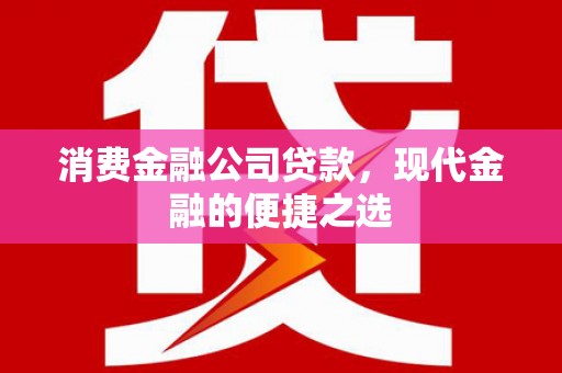 田尾消费金融公司贷款，现代金融的便捷之选