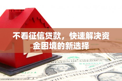田尾不看征信贷款，快速解决资金困境的新选择