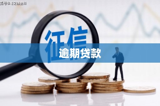 田尾逾期贷款