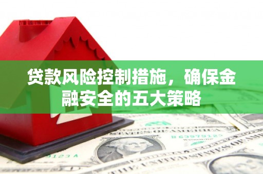 田尾贷款风险控制措施，确保金融安全的五大策略