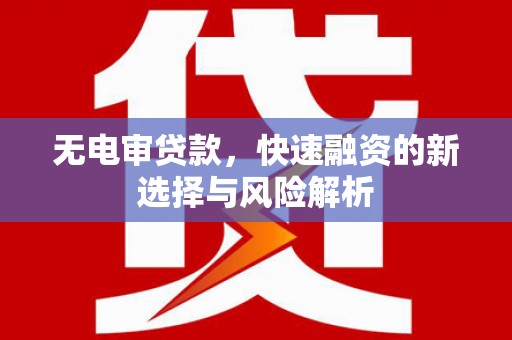 田尾无电审贷款，快速融资的新选择与风险解析