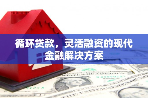 田尾循环贷款，灵活融资的现代金融解决方案