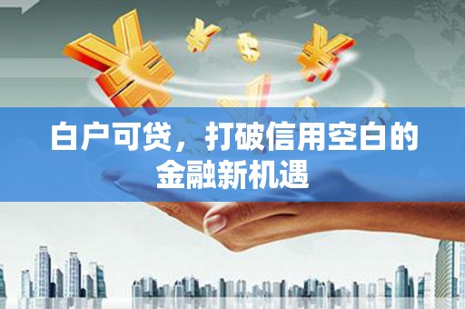 田尾白户可贷，打破信用空白的金融新机遇