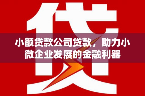 田尾小额贷款公司贷款，助力小微企业发展的金融利器