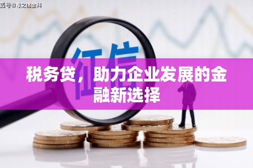 田尾税务贷，助力企业发展的金融新选择