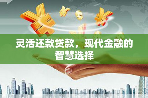 田尾灵活还款贷款，现代金融的智慧选择