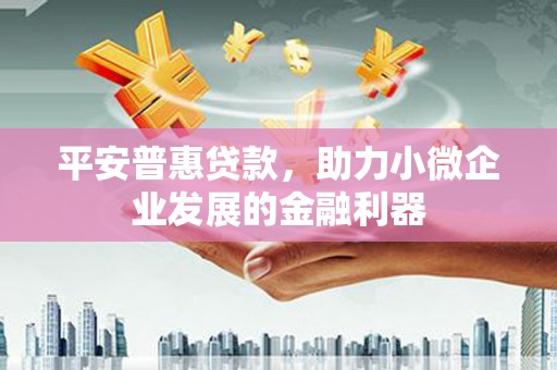 田尾平安普惠贷款，助力小微企业发展的金融利器