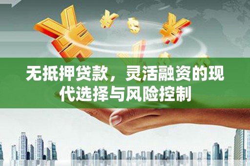 田尾无抵押贷款，灵活融资的现代选择与风险控制