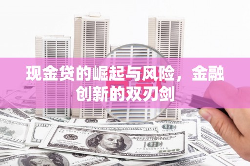田尾现金贷的崛起与风险，金融创新的双刃剑