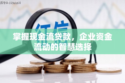 田尾掌握现金流贷款，企业资金流动的智慧选择