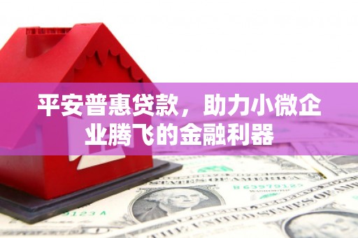 田尾平安普惠贷款，助力小微企业腾飞的金融利器