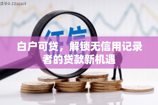 田尾白户可贷，解锁无信用记录者的贷款新机遇