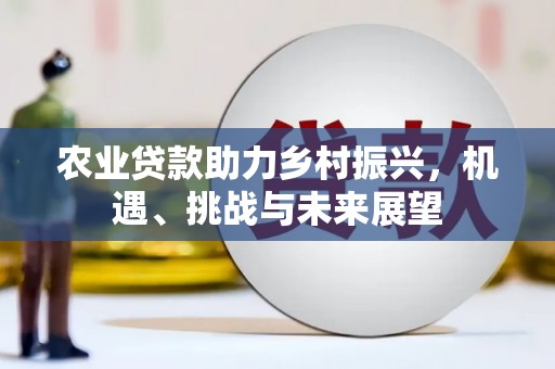 田尾农业贷款助力乡村振兴，机遇、挑战与未来展望