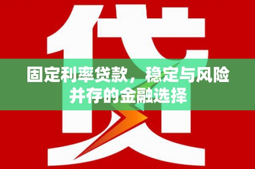 田尾固定利率贷款，稳定与风险并存的金融选择