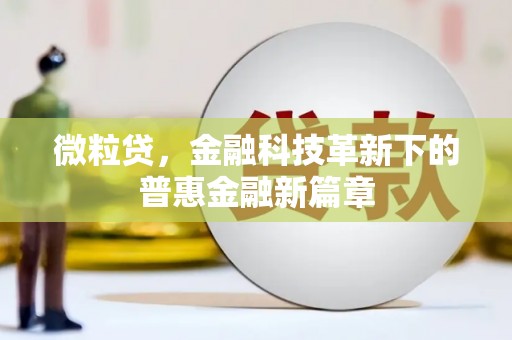 田尾微粒贷，金融科技革新下的普惠金融新篇章