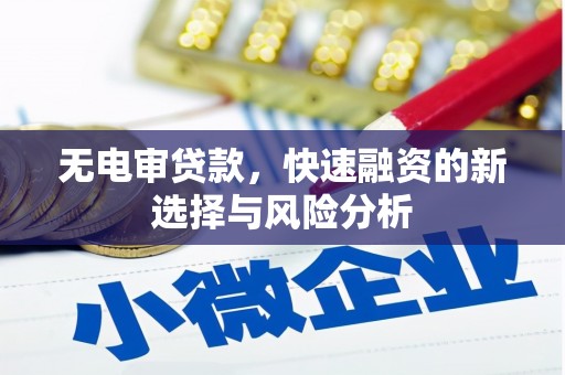 田尾无电审贷款，快速融资的新选择与风险分析