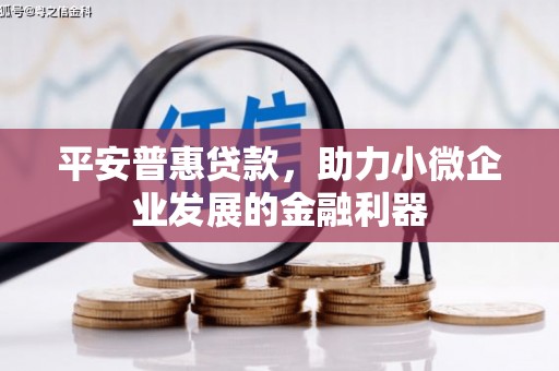 田尾平安普惠贷款，助力小微企业发展的金融利器