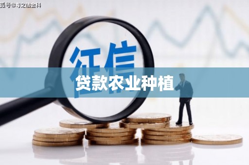 田尾贷款农业种植