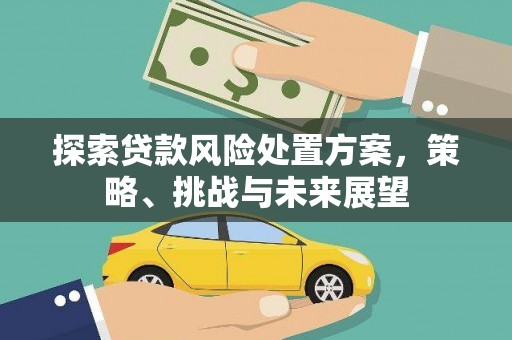 田尾探索贷款风险处置方案，策略、挑战与未来展望