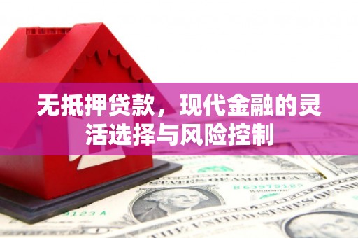田尾无抵押贷款，现代金融的灵活选择与风险控制