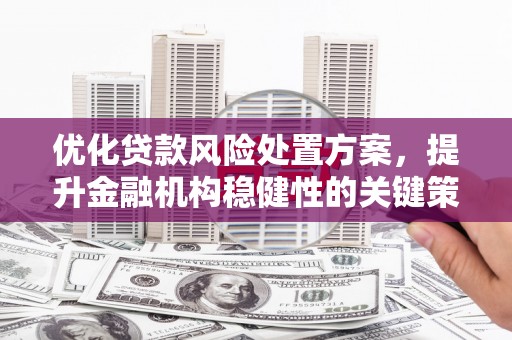 田尾优化贷款风险处置方案，提升金融机构稳健性的关键策略