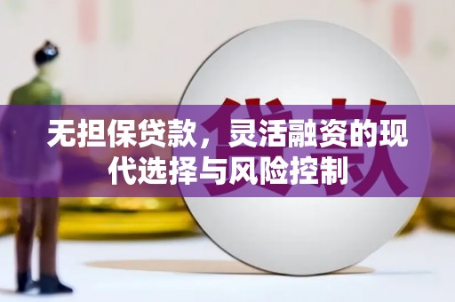 田尾无担保贷款，灵活融资的现代选择与风险控制