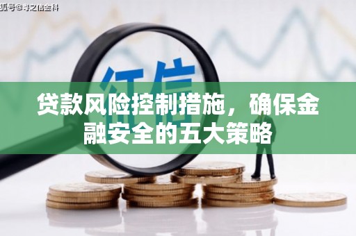 田尾贷款风险控制措施，确保金融安全的五大策略