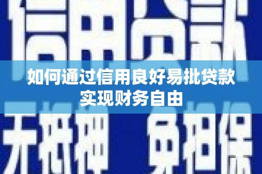 田尾如何通过信用良好易批贷款实现财务自由