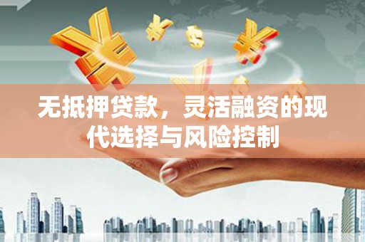田尾无抵押贷款，灵活融资的现代选择与风险控制