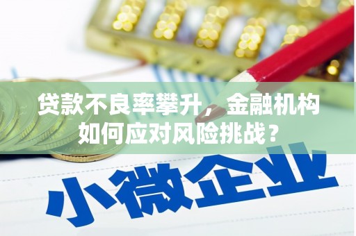 田尾贷款不良率攀升，金融机构如何应对风险挑战？