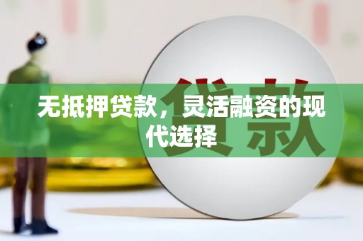 田尾无抵押贷款，灵活融资的现代选择