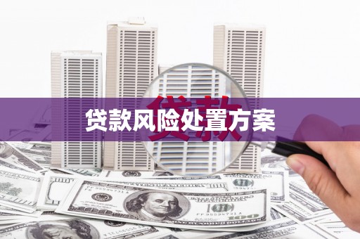 田尾贷款风险处置方案