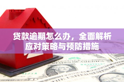 田尾贷款逾期怎么办，全面解析应对策略与预防措施