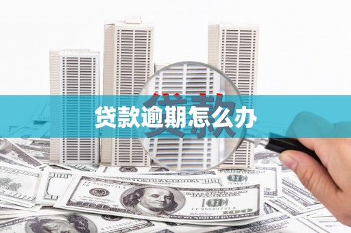 田尾贷款逾期怎么办