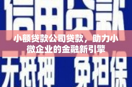 田尾小额贷款公司贷款，助力小微企业的金融新引擎