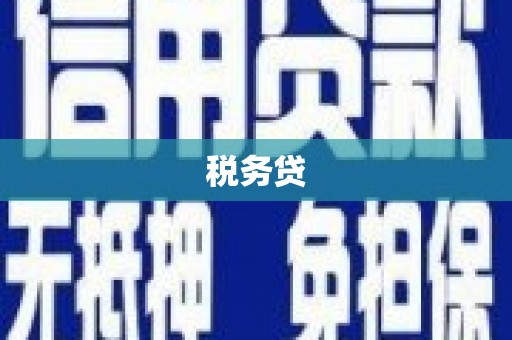 田尾税务贷