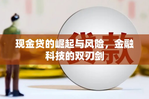 田尾现金贷的崛起与风险，金融科技的双刃剑