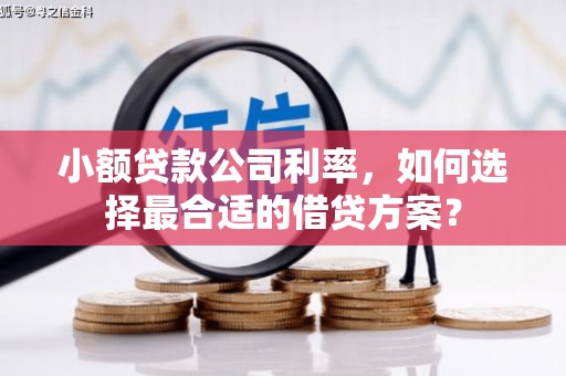 田尾小额贷款公司利率，如何选择最合适的借贷方案？