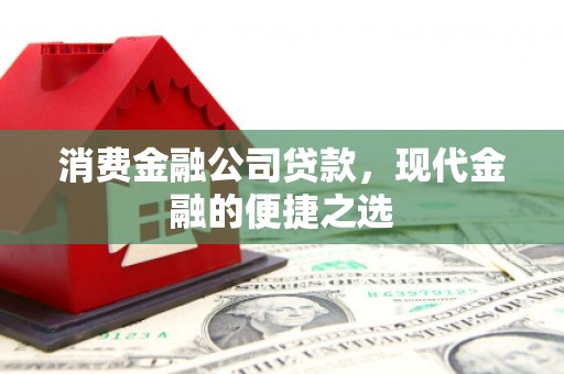 田尾消费金融公司贷款，现代金融的便捷之选