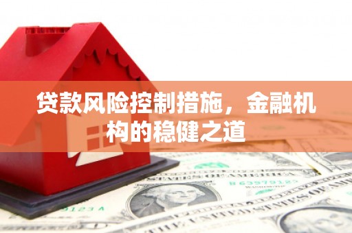田尾贷款风险控制措施，金融机构的稳健之道
