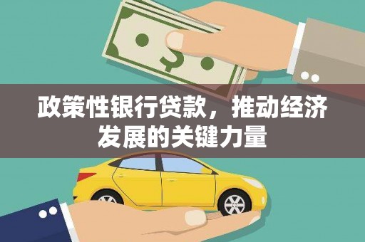 田尾政策性银行贷款，推动经济发展的关键力量