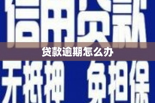 田尾贷款逾期怎么办