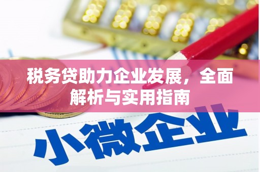 田尾税务贷助力企业发展，全面解析与实用指南