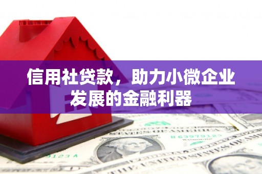 田尾信用社贷款，助力小微企业发展的金融利器