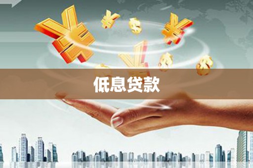 田尾低息贷款