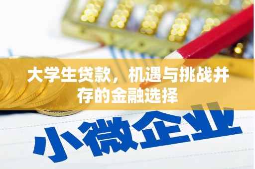 田尾大学生贷款，机遇与挑战并存的金融选择