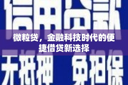 田尾微粒贷，金融科技时代的便捷借贷新选择