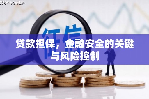 田尾贷款担保，金融安全的关键与风险控制