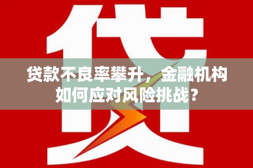 田尾贷款不良率攀升，金融机构如何应对风险挑战？